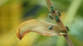 Nature Outdoors Wild Life