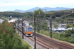 Travel Nature Train