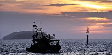 Sunset Evening Fishing