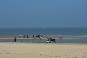 Beach Reiter North Sea Sand