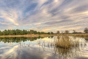 Reflection Nature Water