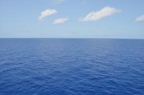 Ocean Cruise View