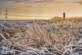 Nature Landscape Winter