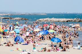 Coast Beach Sea