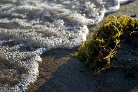 Water Beach Sand