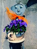 Flowers Pansies macro