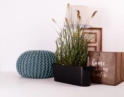 Plants Flowerpots Green