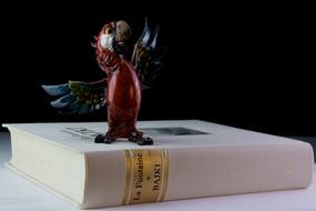 Figure of the colorful parrot, on the colorful book, at black background