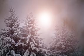 Wintry Weather Mood Light