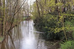 Water Park Mill Creek