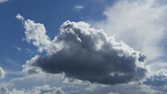 Nature Weather Summer