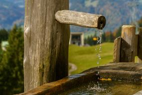 Foghorn Hofhütte Seealpe