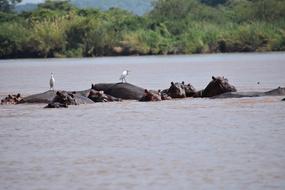 Water Nature Outdoors
