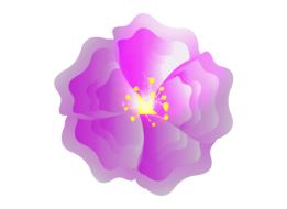 Illustration of pink fuschia bloom