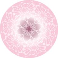 pattern floral flower pink white