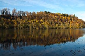Autumn Forest Mirroring