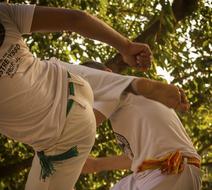 Martial Art Sport Popular