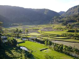 Rice Fields Mountains Agricultural