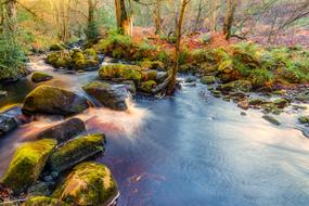 Valley Of Desolation Yorkshire