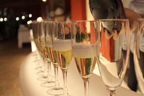 delicious champagne in a glass