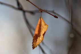 Outdoors Nature No One