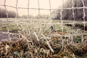 Wire Mesh Hoarfrost