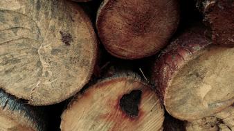 Log Timber Fire Wood