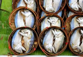 fresh raw fish
