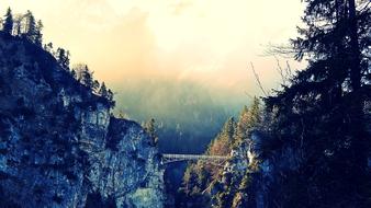 Nature Outdoors Wood