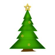 fir tree christmas star poinsettia