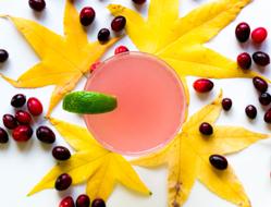 leaves near the drink