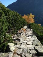 Mountains Tatry Trail The High
