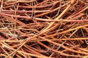 Sticks Dry Spring Cleaning