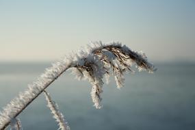 The Dome Of Sky Nature Body