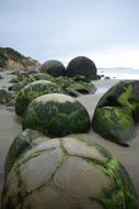 Nature Moeraki Boulders New
