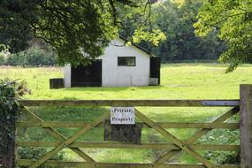 Jane Austen Greenery Green Private