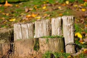 Fence Post Wooden Posts Wood