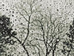 Rain Raindrop Drop Of Water