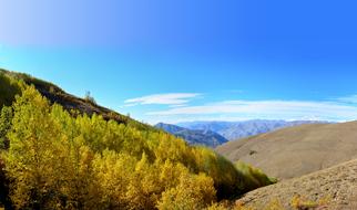 Autumn Season Nature