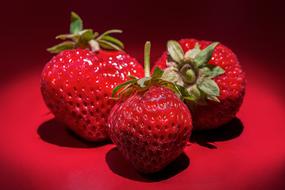 sweet strawberries on a red background