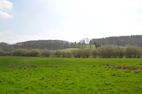 Nature Landscape Panoramic