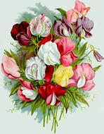 bouquet decoration gift flower