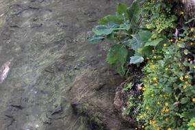 Nature Outdoors Water