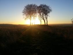 England Nature Britain