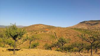 Nature Landscape Outdoors