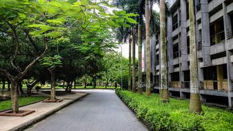 Landscape of the hotel garden pathway
