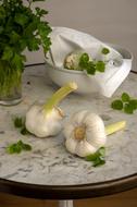 ripe garlic on the table