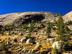 Park Nardoowy Rocks The