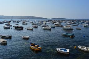 Sea Harbor Water