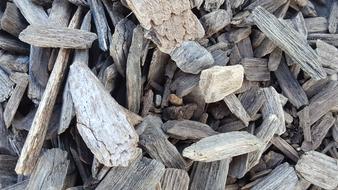 Wood Chips Texture